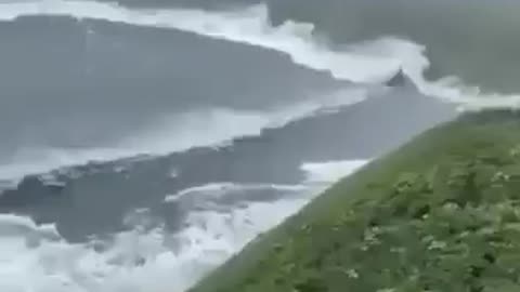 WILD FOOTAGE: Man walking his dog captures moment tsunami waves reach Russia's