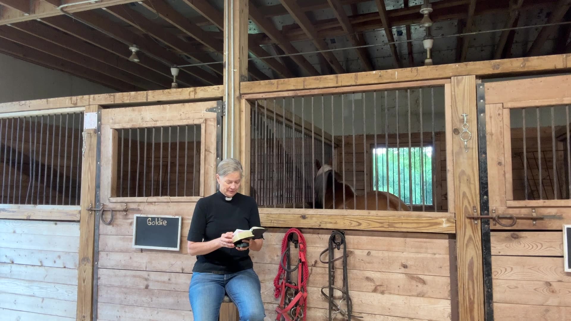 Morning Prayer, Daily Office
