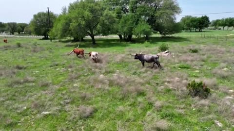 Beef is getting more expensive
