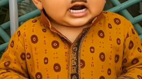 Funny Video