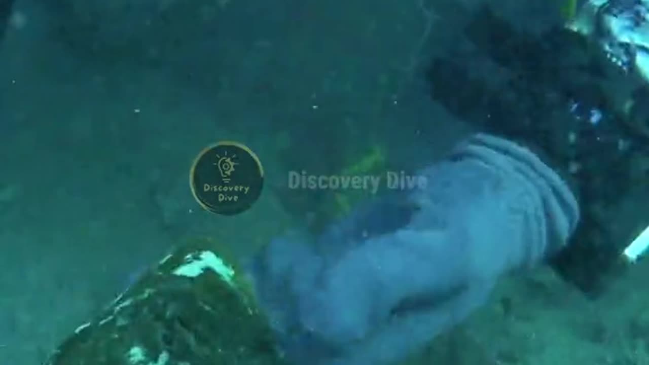 Megalodons Teeth The Key to the Oceans Biggest Predator