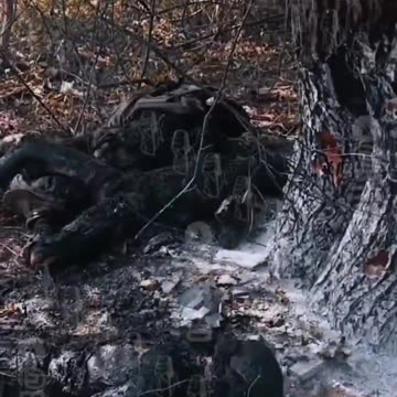 The crests are having a blast in Pokrovsk