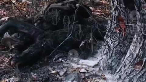 The crests are having a blast in Pokrovsk