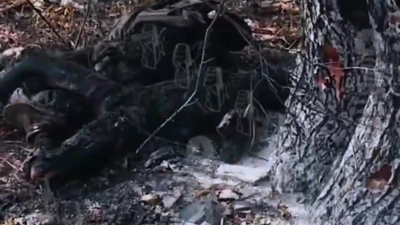 The crests are having a blast in Pokrovsk