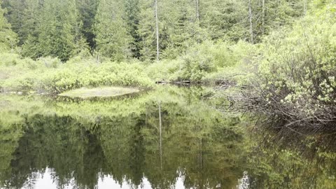 Duck Lake BC Canoeing.
