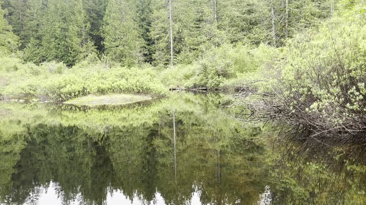 Duck Lake BC Canoeing.