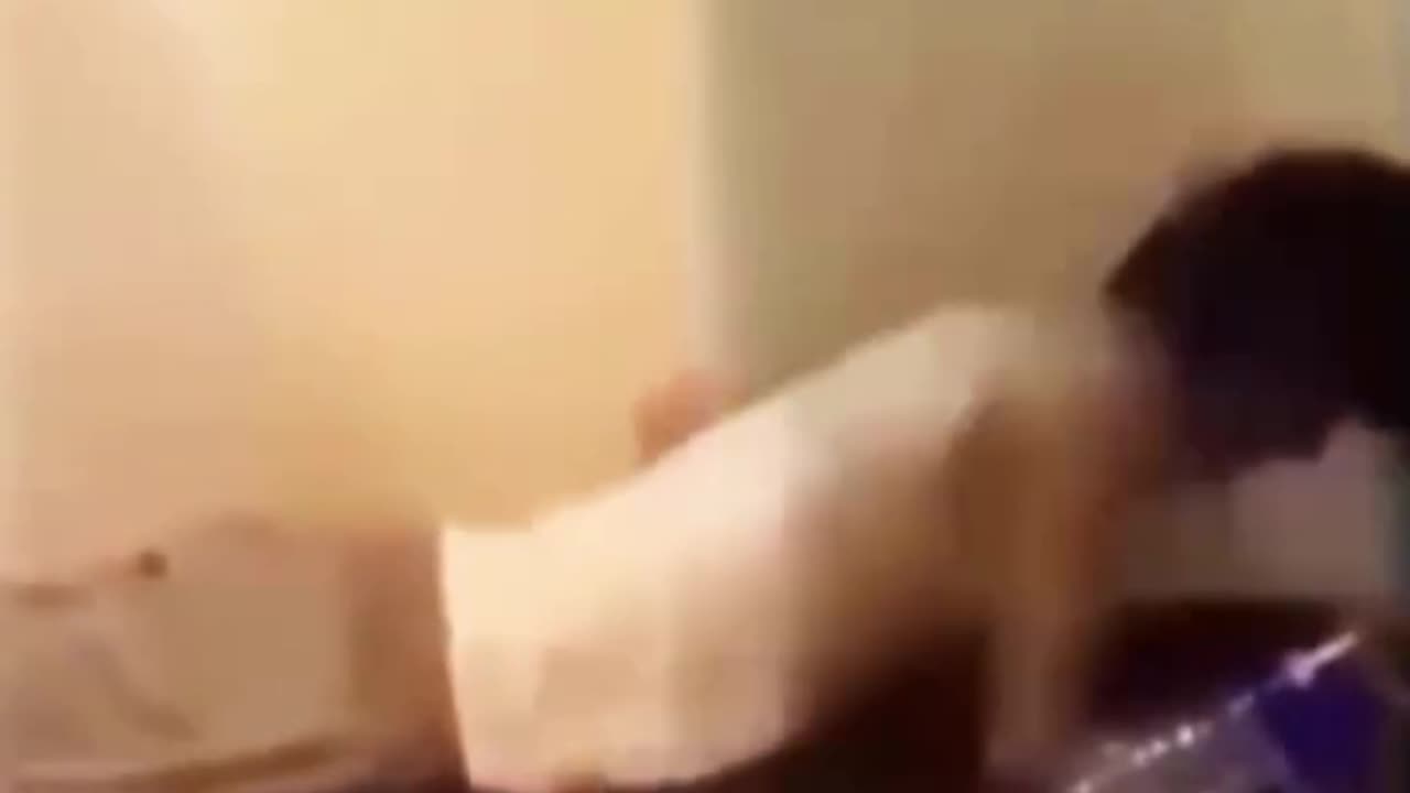 لو شد حيله بيطير بجد