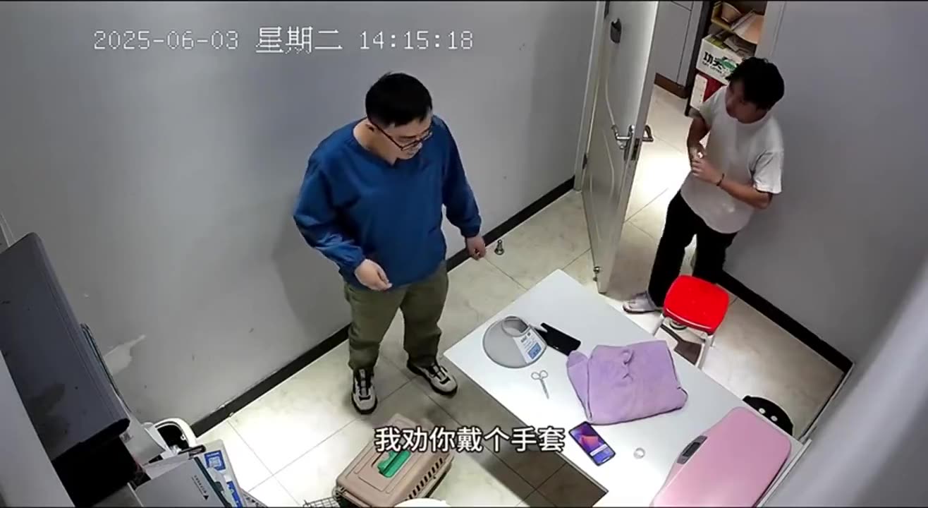 Raging cat attacks the vet