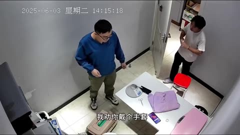 Raging cat attacks the vet