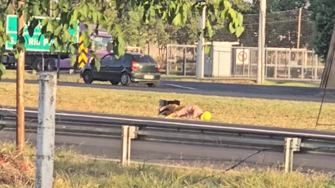 Roadworks Mannequin Having A Monday In The Median