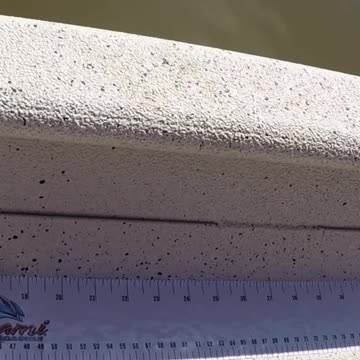 Catch of the Day! Fishing Adventure Despite Boat Troubles