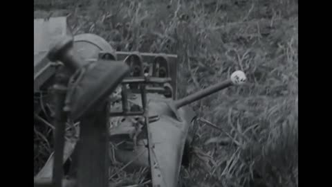10. Panzer-Division Sd.Kfz. 10 4 half-tracks armed with 2cm Flak guns in Ukraine in 1941