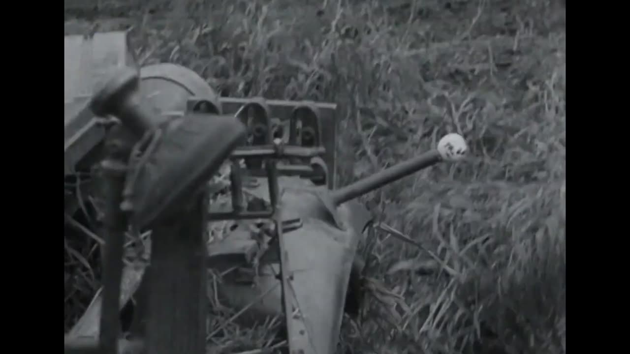 10. Panzer-Division Sd.Kfz. 10 4 half-tracks armed with 2cm Flak guns in Ukraine in 1941