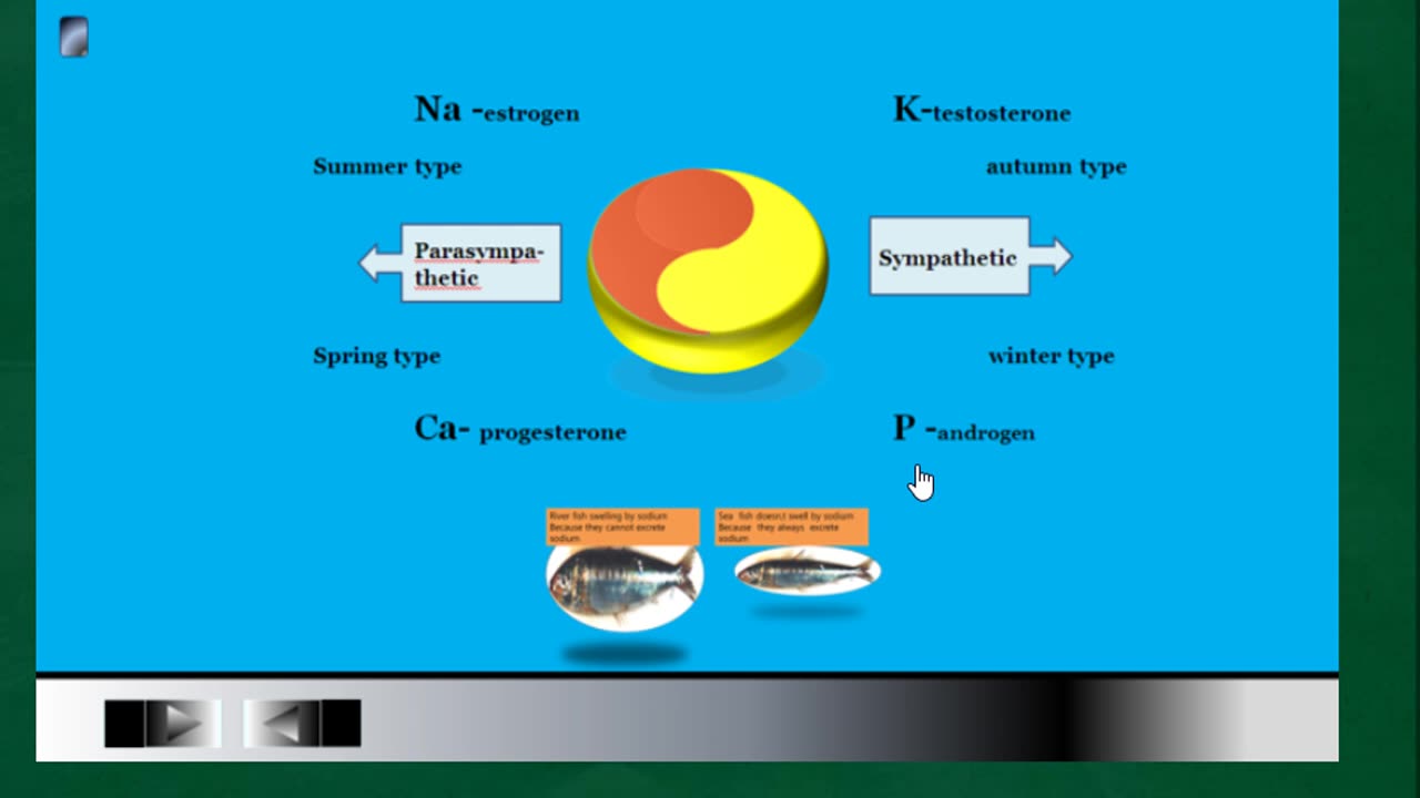 탈수와 혈액량을 늘리기위한 암환자중에서 소금이 필수적인 체질은?지방부패염증 제거 salt소음인과 태음인 성경의 빛과 소금의 이유