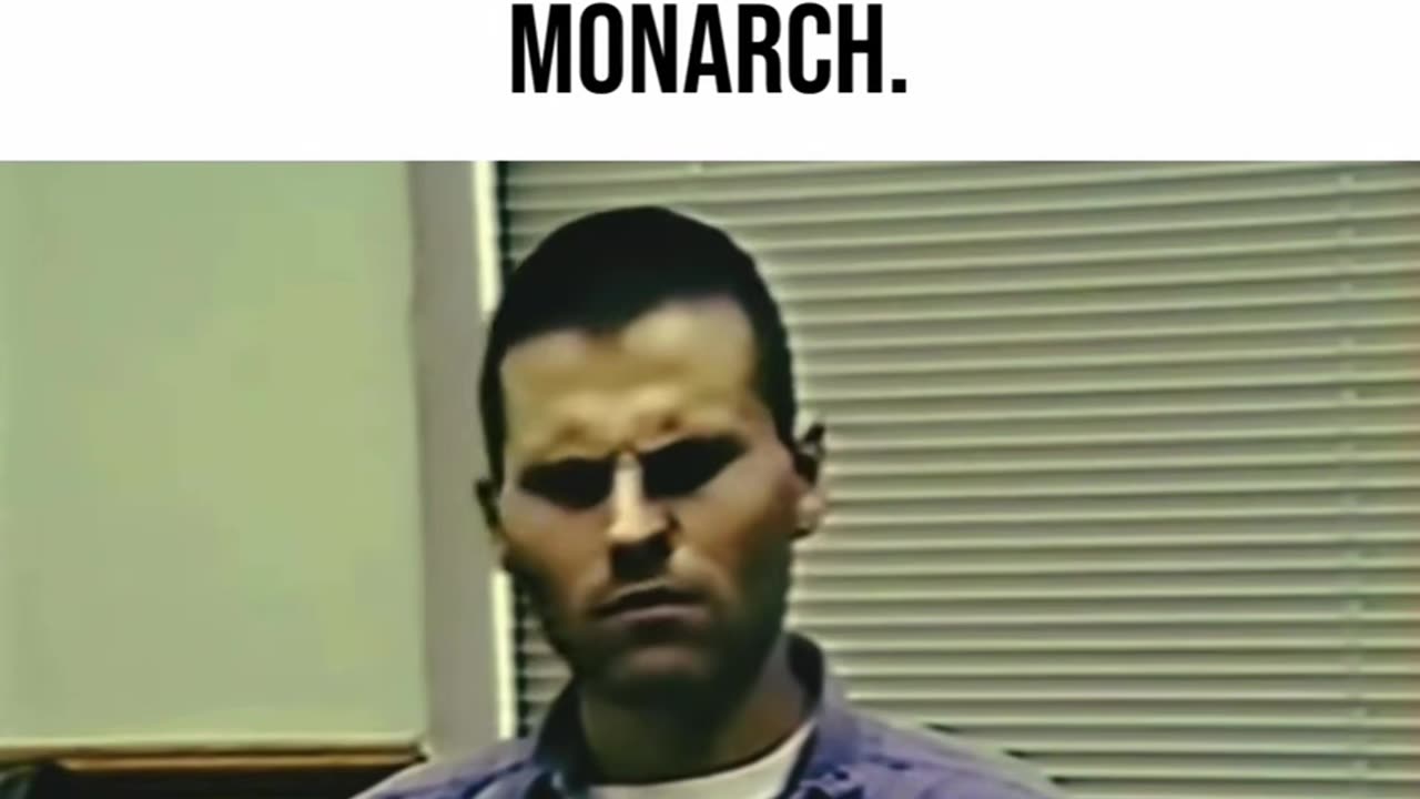 A Victim of MKUltra Monarch Programming