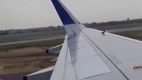Passenger Shocked Seeing Bird Flying Beside Airplane Wing