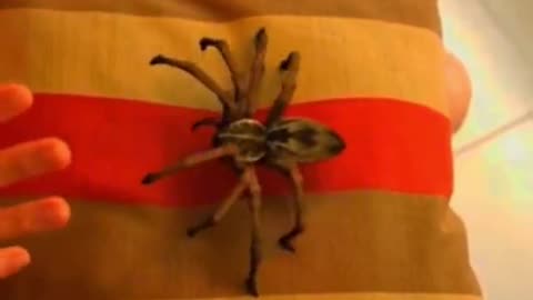 👻🌀 Paranormal Activity in the Dead of Night | TheHauntingHour