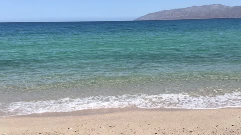 Hierbas Antiparasitarias y Remedios Naturales ES