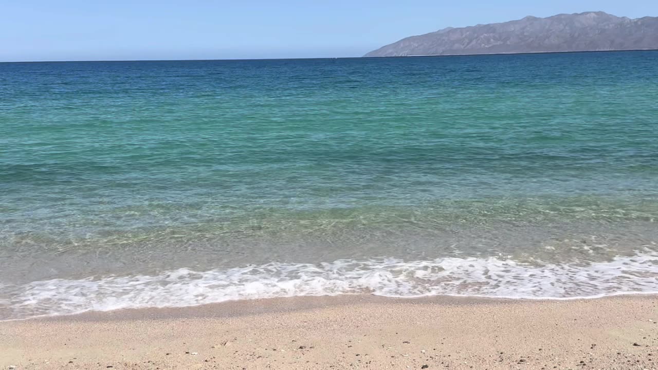 Hierbas Antiparasitarias y Remedios Naturales ES