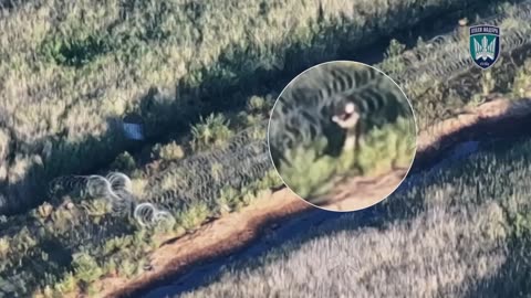 Russian Assault Group Gets Caught Up While Crossing Razor-Wire Barriers