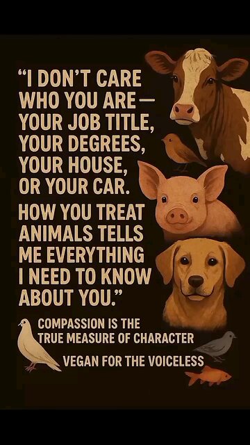 Everything That I Need to Know About You 🐾🌱🤔