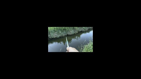 Small creek fishing