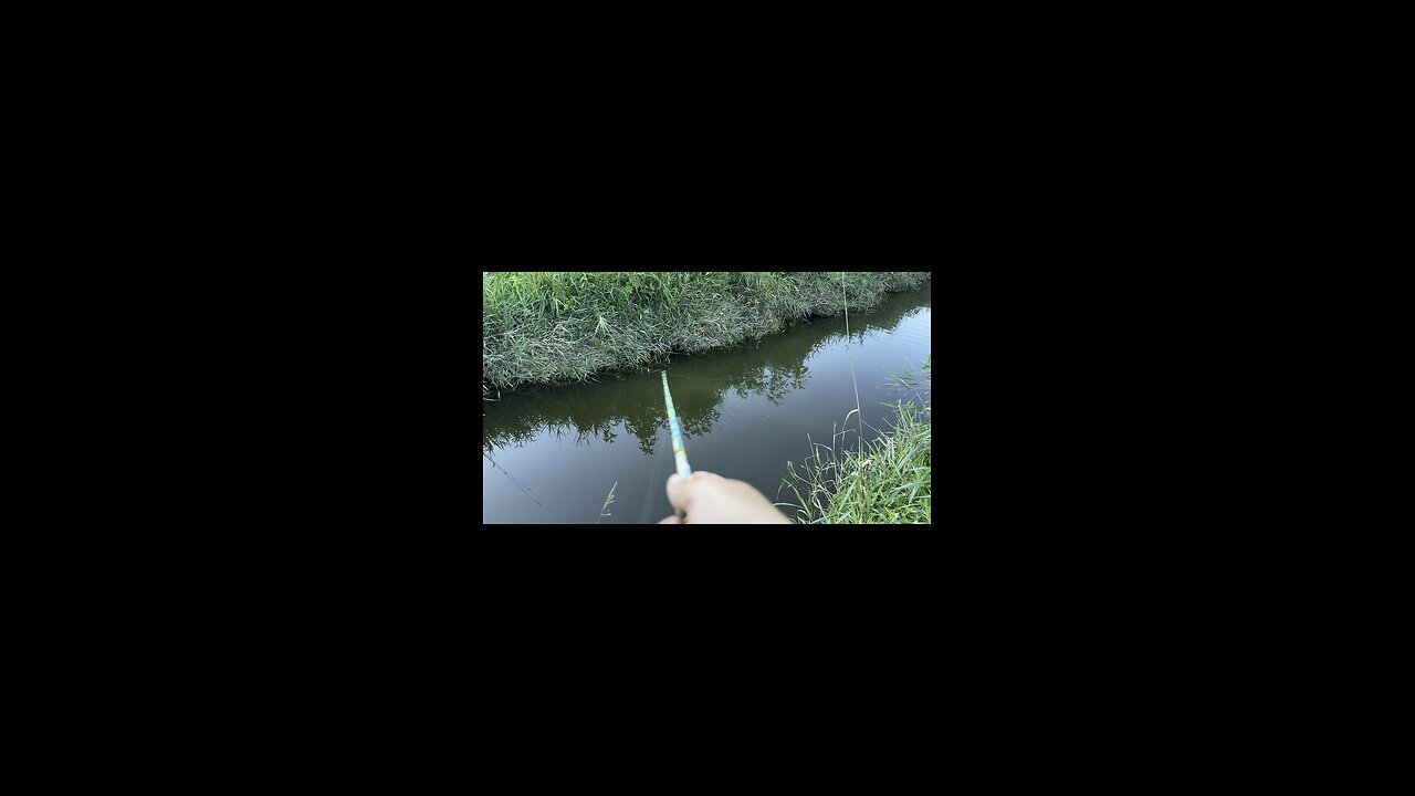 Small creek fishing