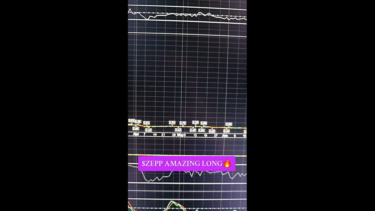 $ZEPP🔥