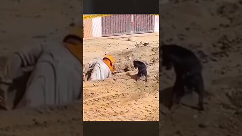 Puppy Becomes A Construction Worker 🐶🏗️