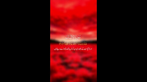Surah Al-Insan with urdu translation #reels #viral #shorts #Quran #islamic