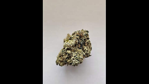 Candy Pop THCA Flower - Madison WI Dispensary