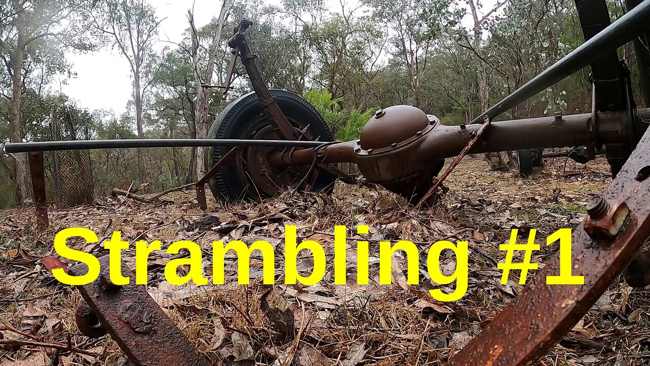 Strambling#1