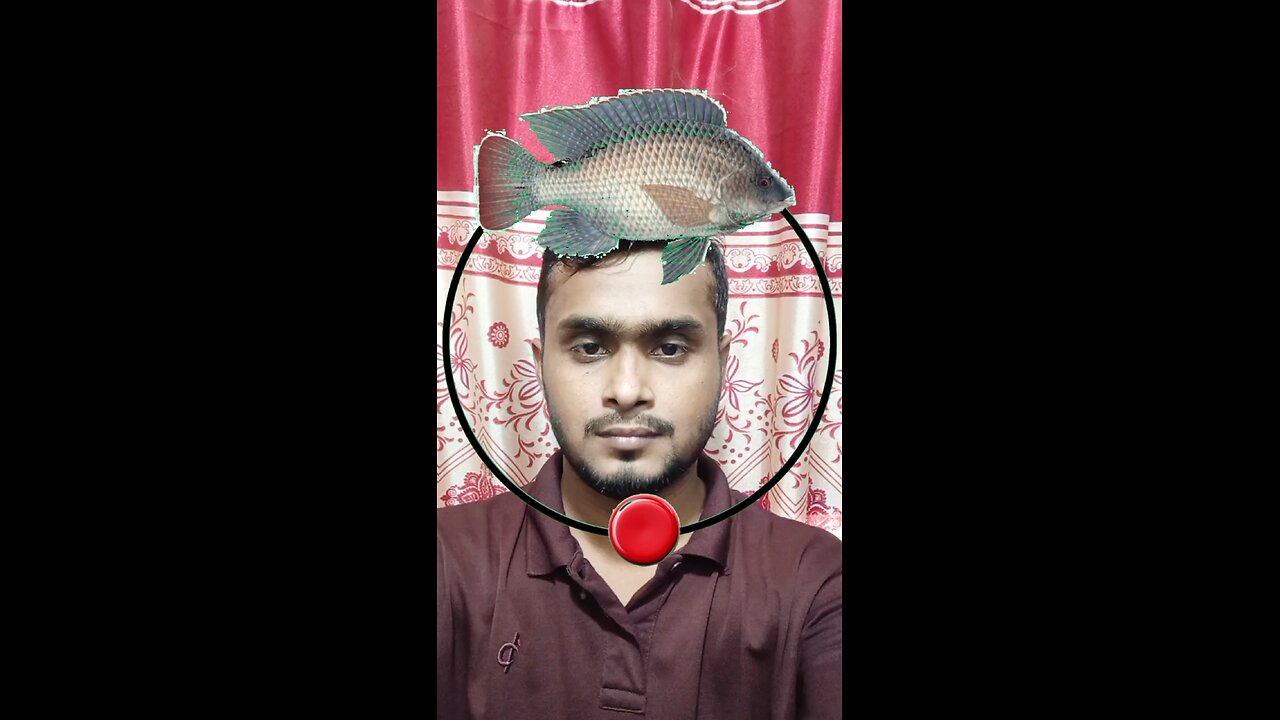 তেলাপিয়া মাছের মাথাটি জোড়া লাগান ৪০ #reels #puzzle #viral #tending #challenge #Amazing #foryou