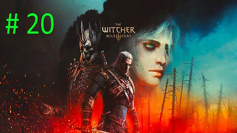Let's Play Witcher 3 Wild Hunt BLIND # 20 👑Imperial Audience👑