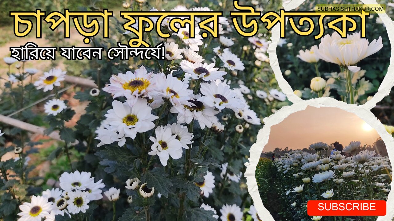 Chapra Flower Valley 🌸| Ranaghat’s Hidden Floral Paradise | Full Garden Tour 🌿🌼 #Subhasishthakur