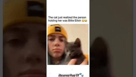 How Do Pets Always End Up in These Situations?