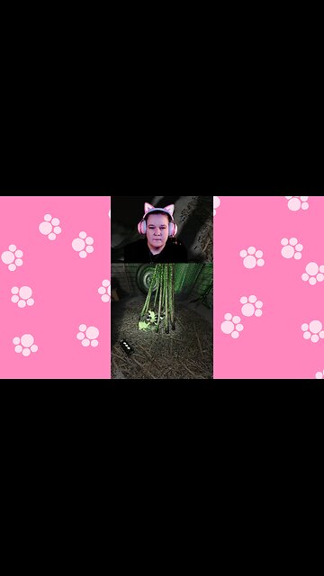 “Ohh!!! A Bunny!” …Yeah, About That. 🐰💀