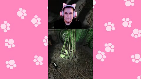 “Ohh!!! A Bunny!” …Yeah, About That. 🐰💀