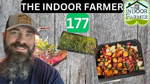The Indoor Farmer ep 177, Micro Progress Is Still Progress, Let's Grow