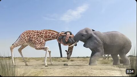 Giraffe Vs Elephant