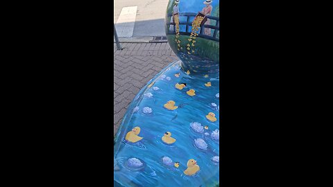 Naperville Ducks 4