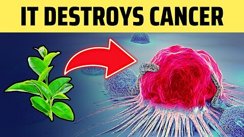 Cancer Dies When You Eat These 8 Foods! JN33