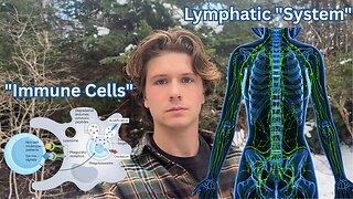 The Immune System Doesn't Exist - Tolerance, Phagocytosis & Lymph
