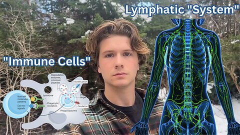The Immune System Doesn't Exist - Tolerance, Phagocytosis & Lymph