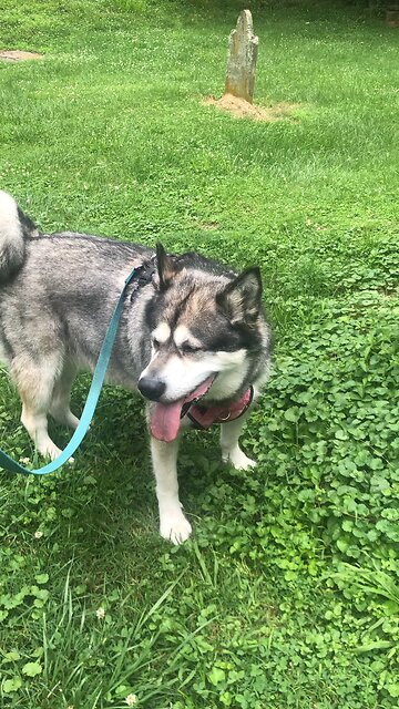 Saturday June 14, Love is