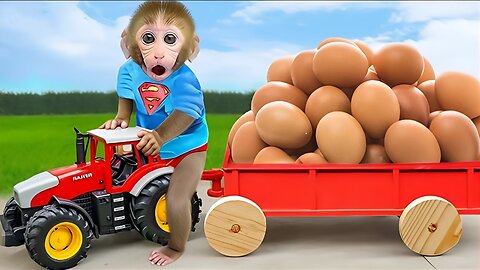 Monyet BonBon Lucu Jadi Kakak Hebat Merawat Telur dan Dinosaurus Imut - BonBon Indonesia