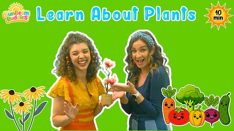 🌿 All About Plants! | Fun Song, Dance & Learning with Miss Sunshine 🍎🥕