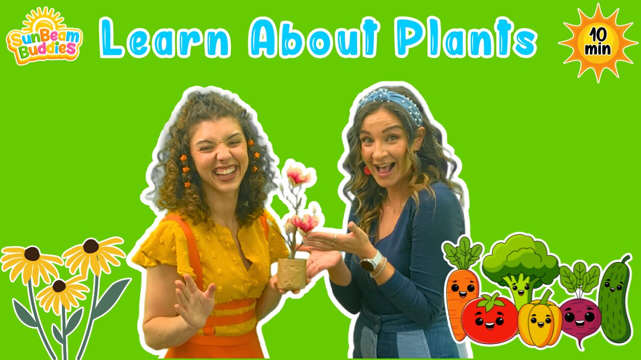 🌿 All About Plants! | Fun Song, Dance & Learning with Miss Sunshine 🍎🥕
