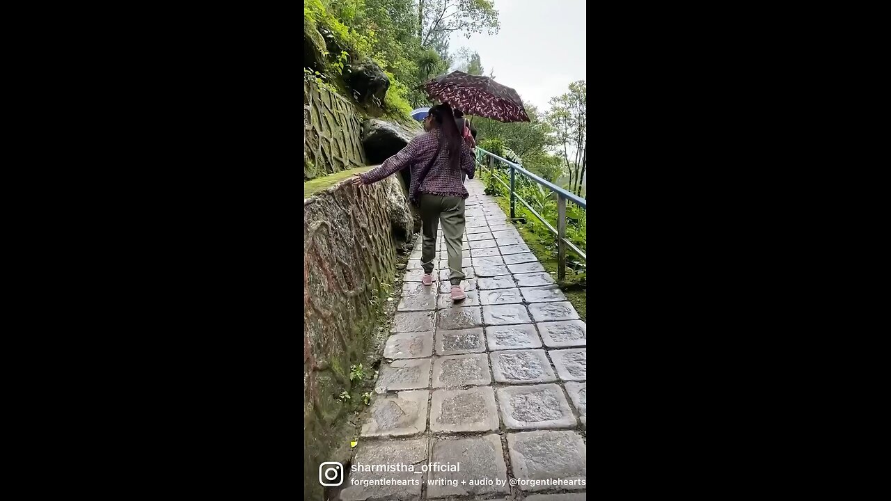 Beautiful life #shorts #shortsvideo #shortsfeed