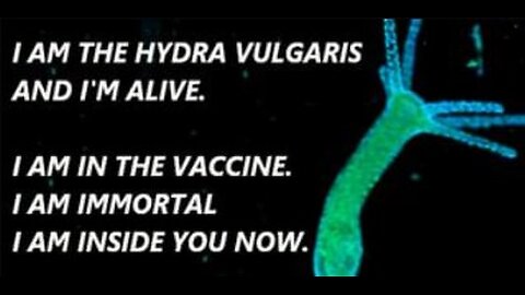 RABBIT HOLE 🕳️ PROOFS & NORMALIZATION *